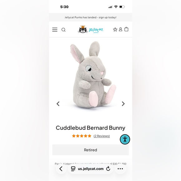 1 OWNER! AUTH SALES RECEIPT! RETIRED BNWT Jellycat Cuddlebud Bernard Bunny PFSF - Picture 2 of 12